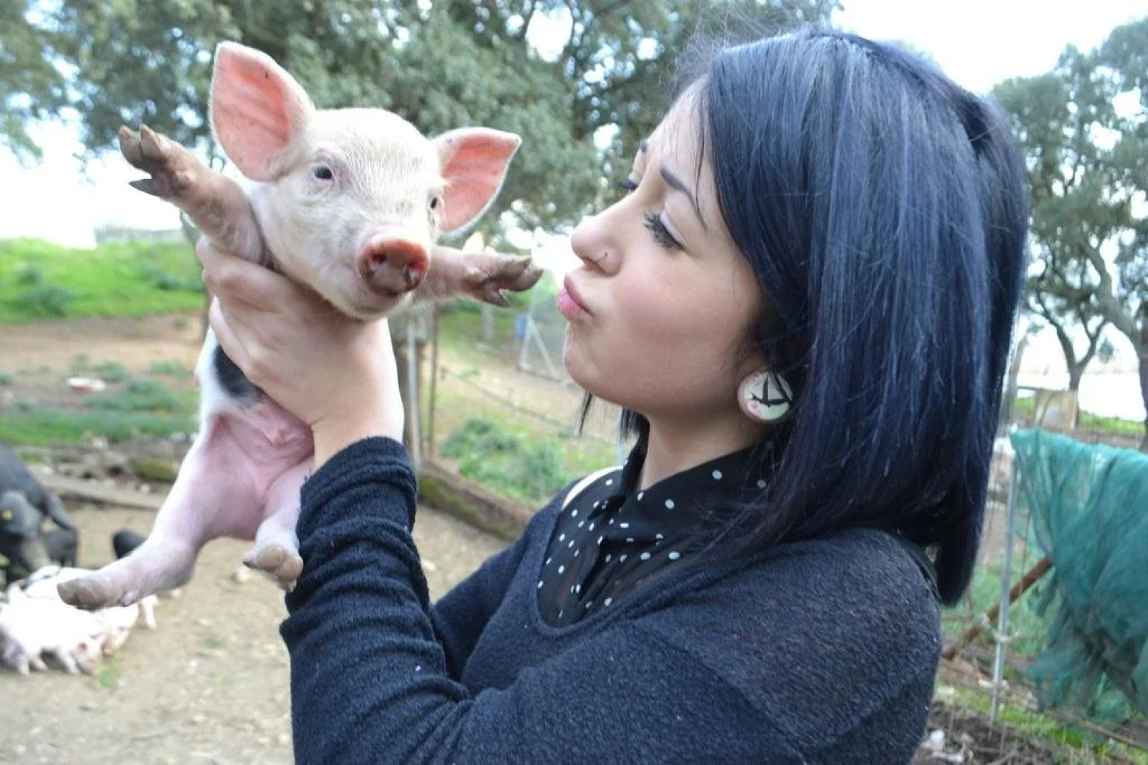 Alba Chiara Agriturismo