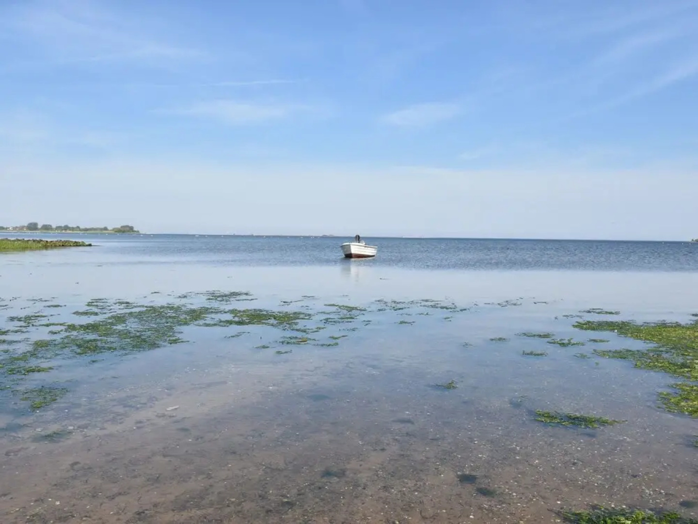 Ethereal Apartment in Stove With Garden