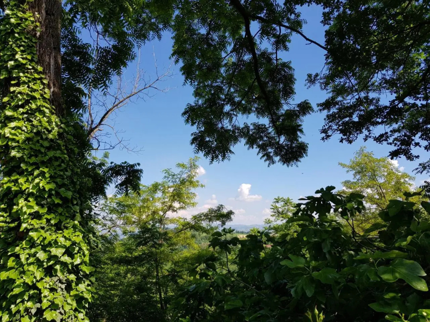 La Collina dei Passeri