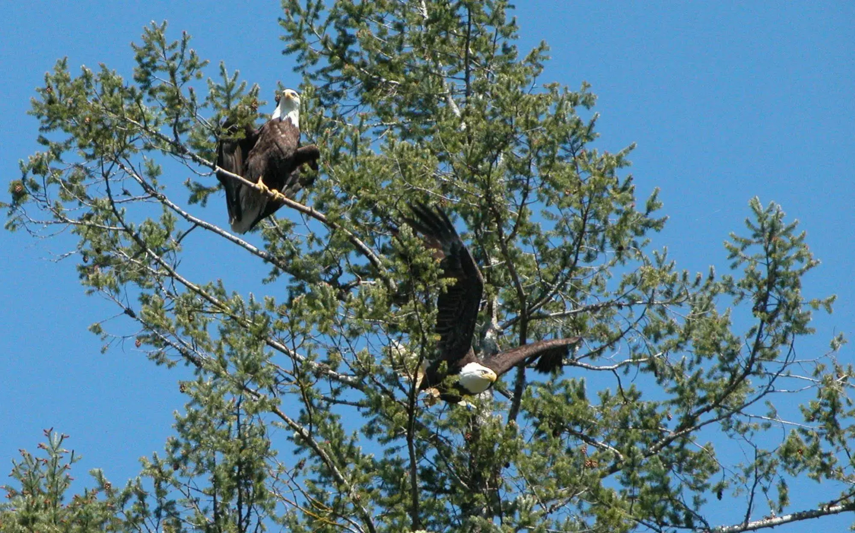 Madeira Park Vacation Suite