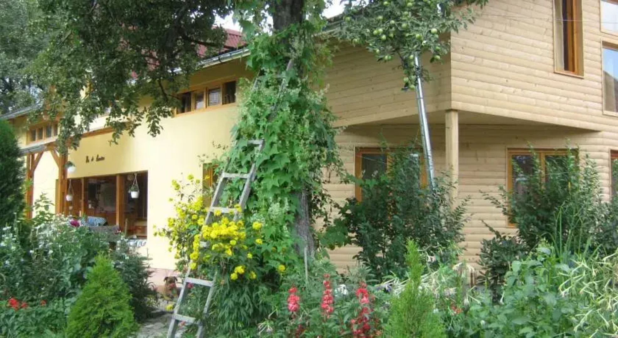 Pension Dor de Bucovina