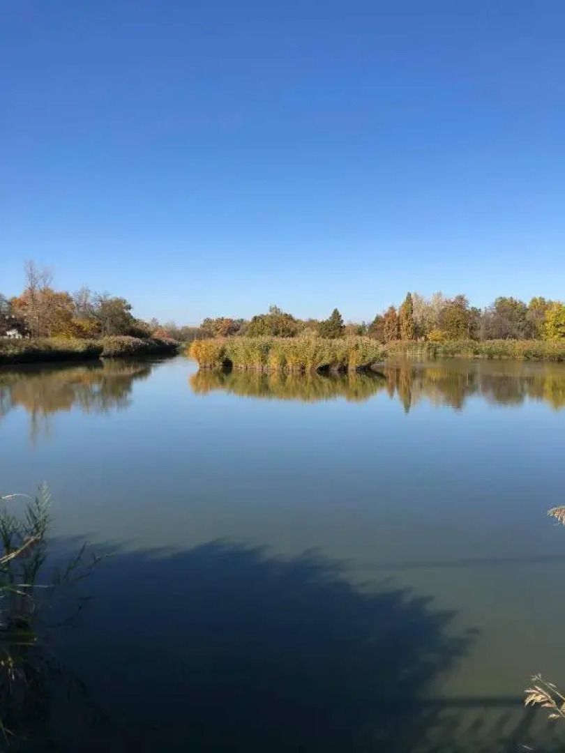 Hotel Brill Orosháza