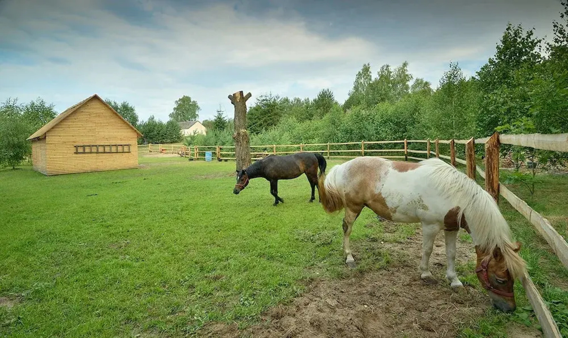 Holiday Home in Skrzynia With Terrace