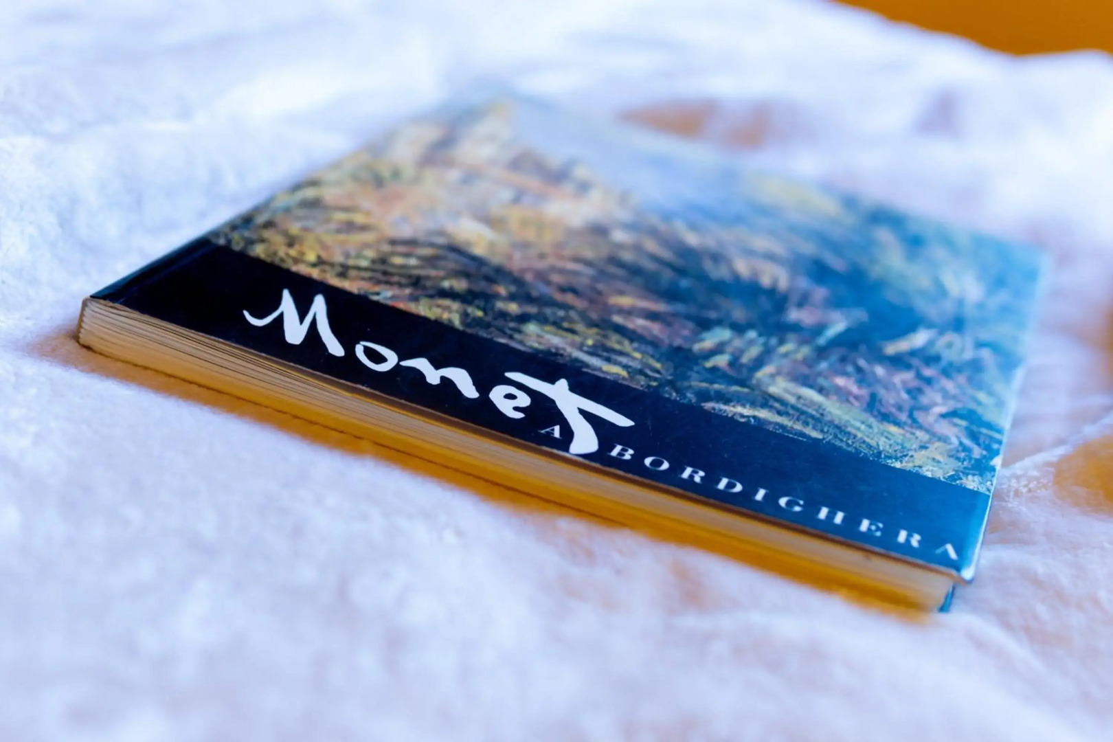 Villa Monet, 200 mt dal mare, clima, Wi-Fi