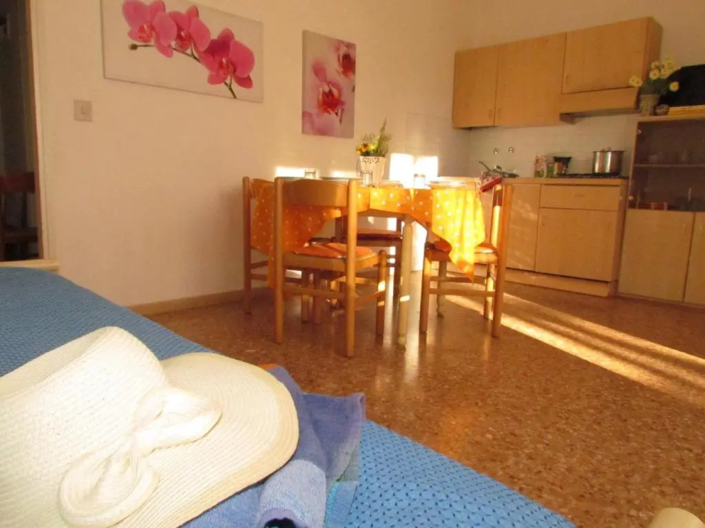 Appartamenti Codan & Fransi