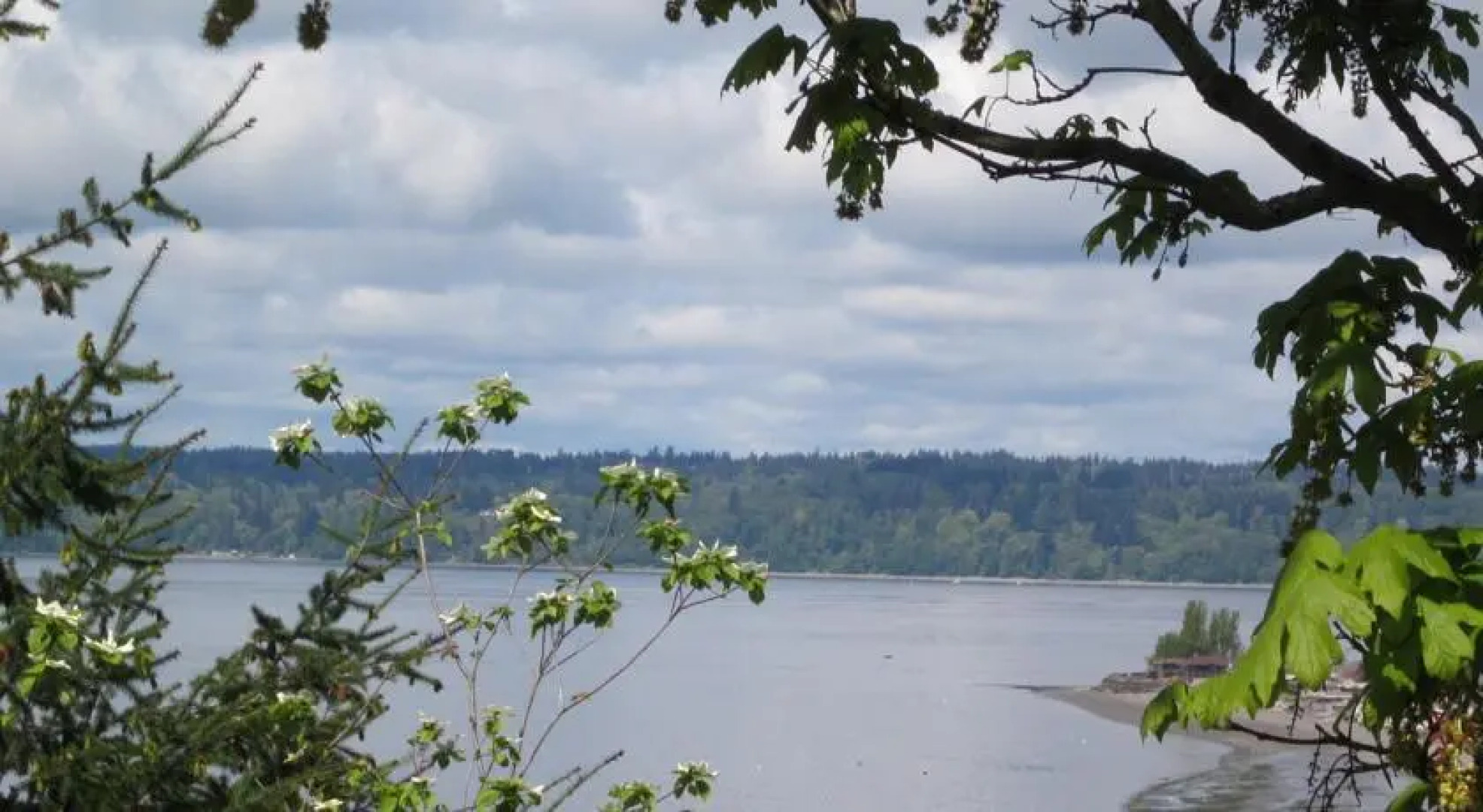 Soundview Cottage B&B