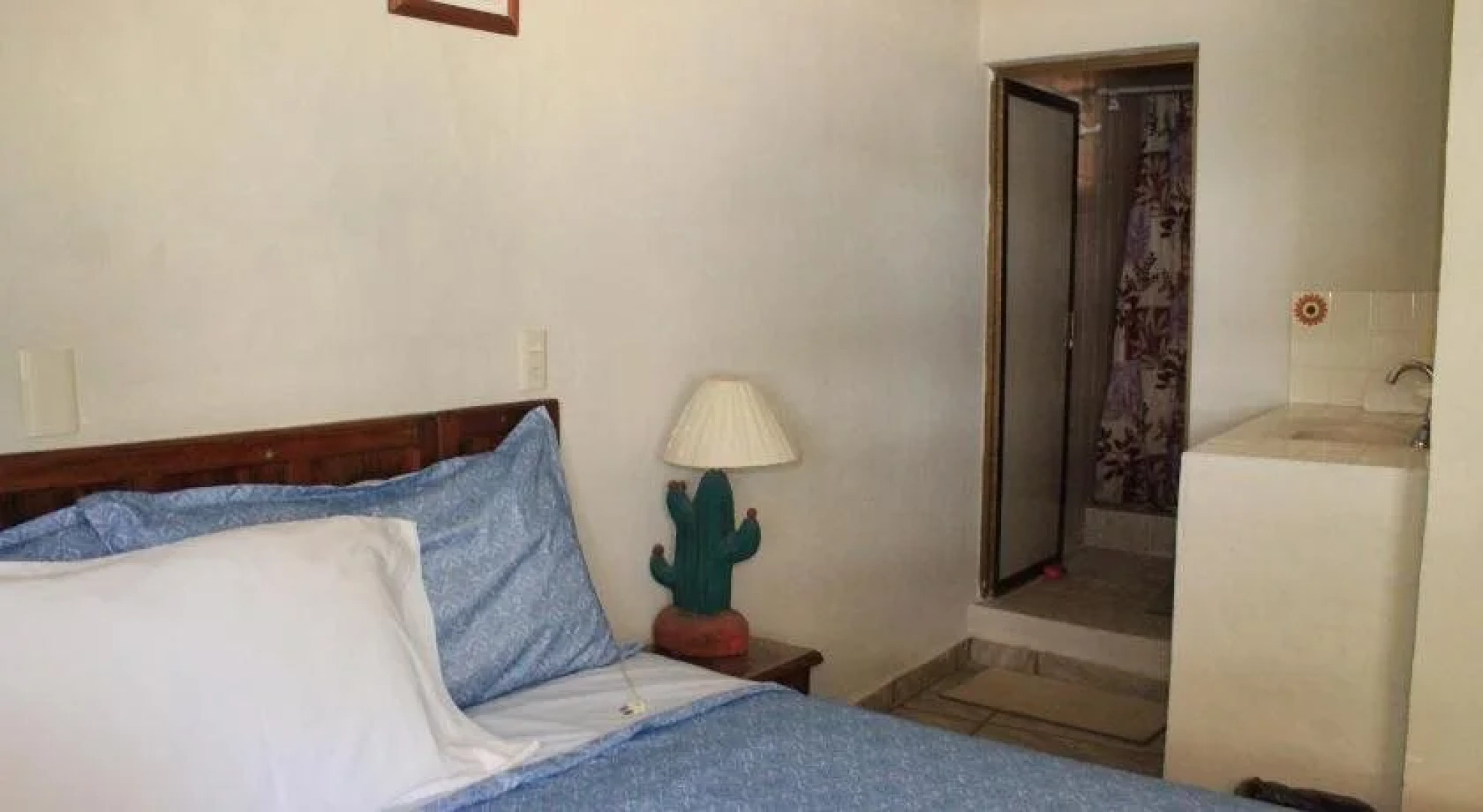 Apartamentos Magnolias