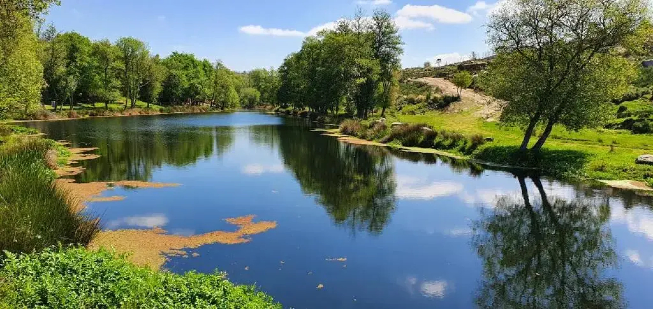 Azevinho Guest House