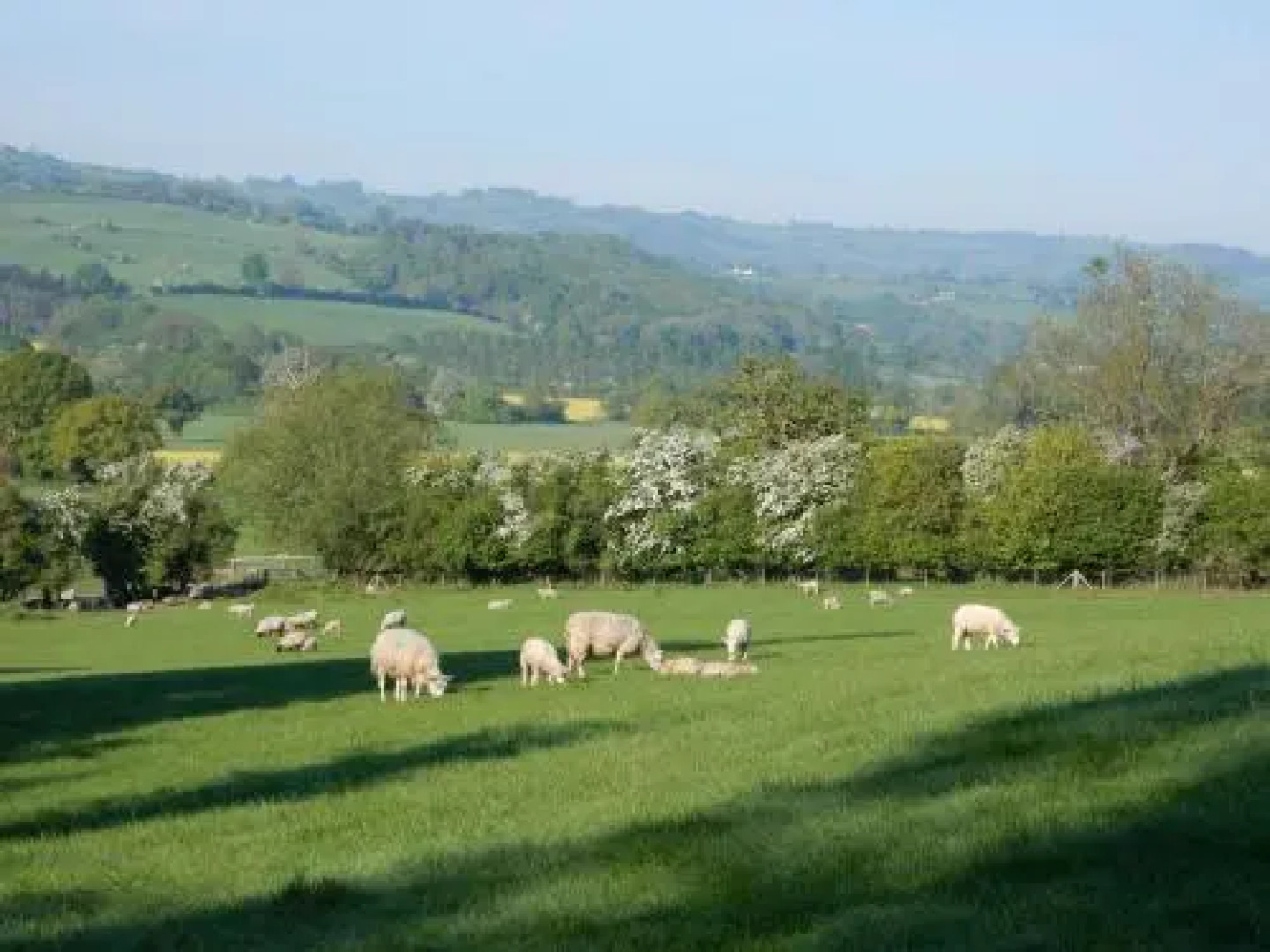 The Farm Snead Bed & Breakfast