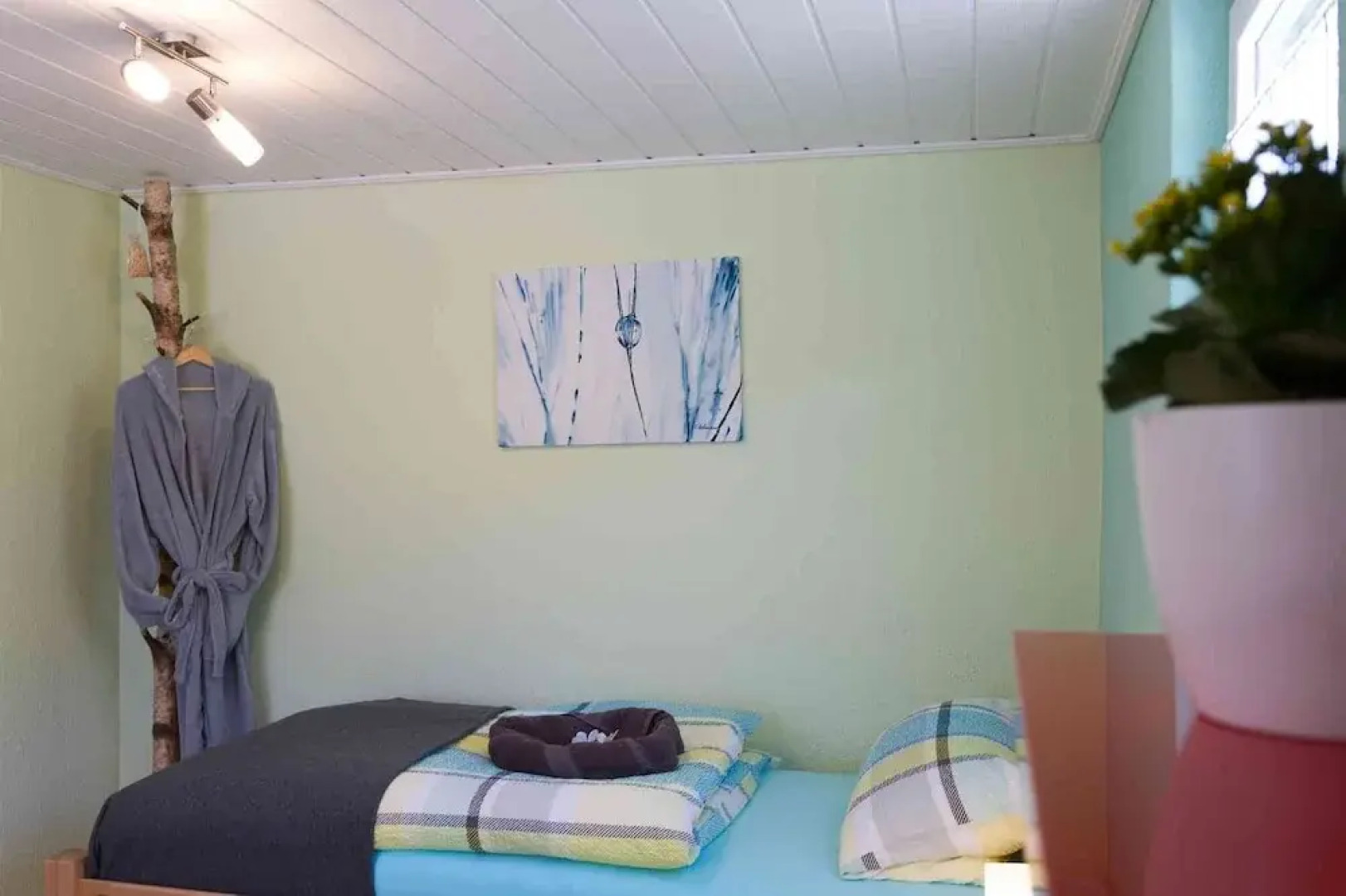 Gästehaus zum Rothaarsteig - Ferienhaus