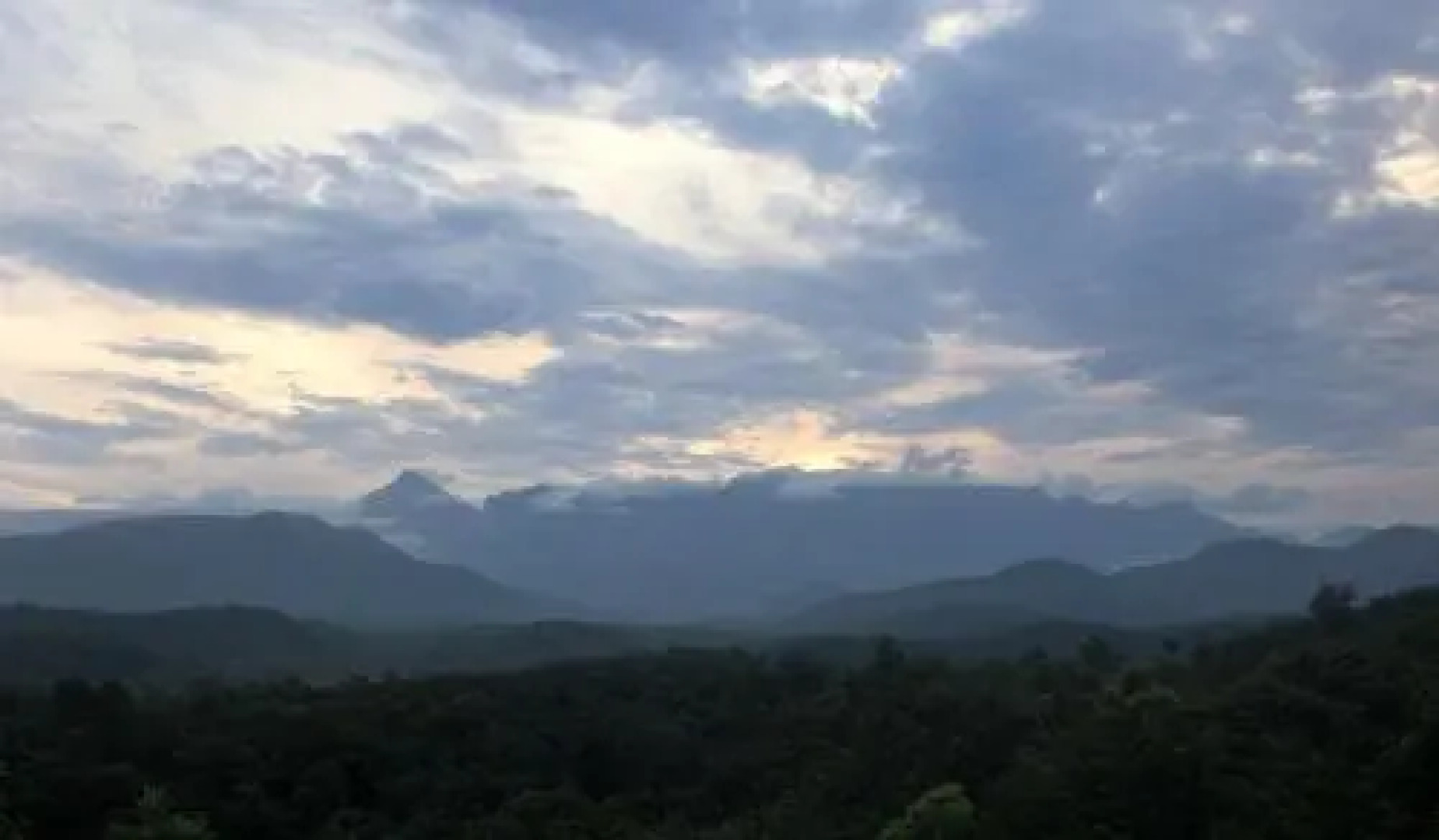 Bio Veda Ayurvedic Hill resort