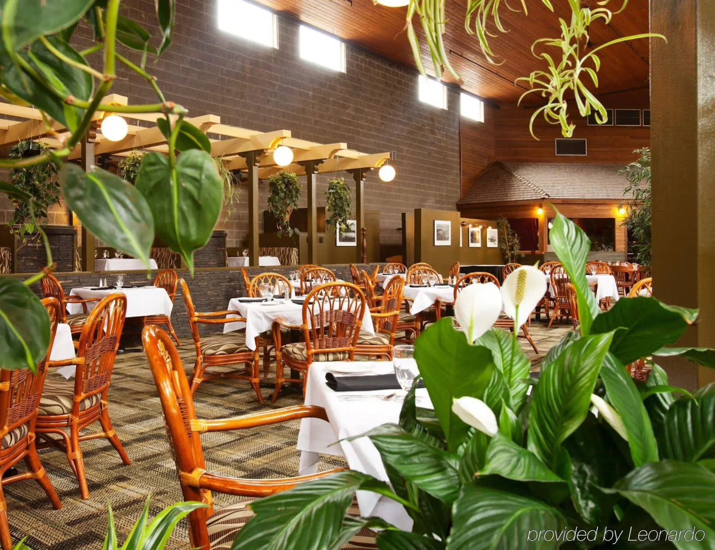 Best Western Rainbow Country Inn