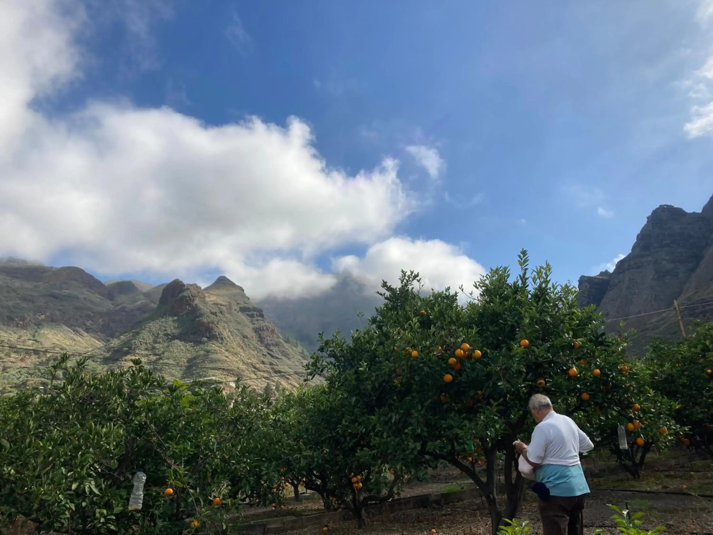 Casa Camino Tamadaba II (bottom home）