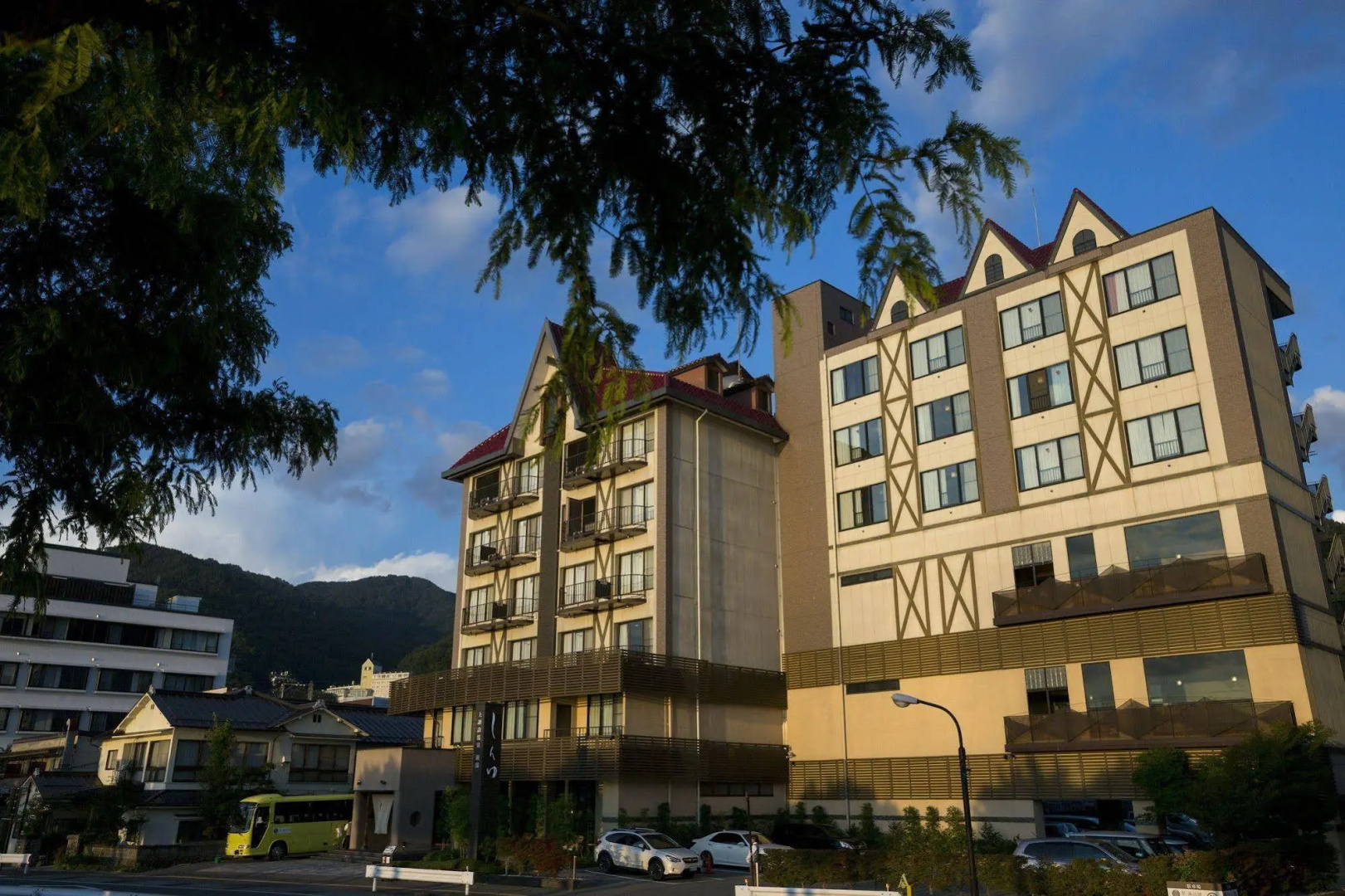 Kamisuwa Onsen Hotel Shinyu