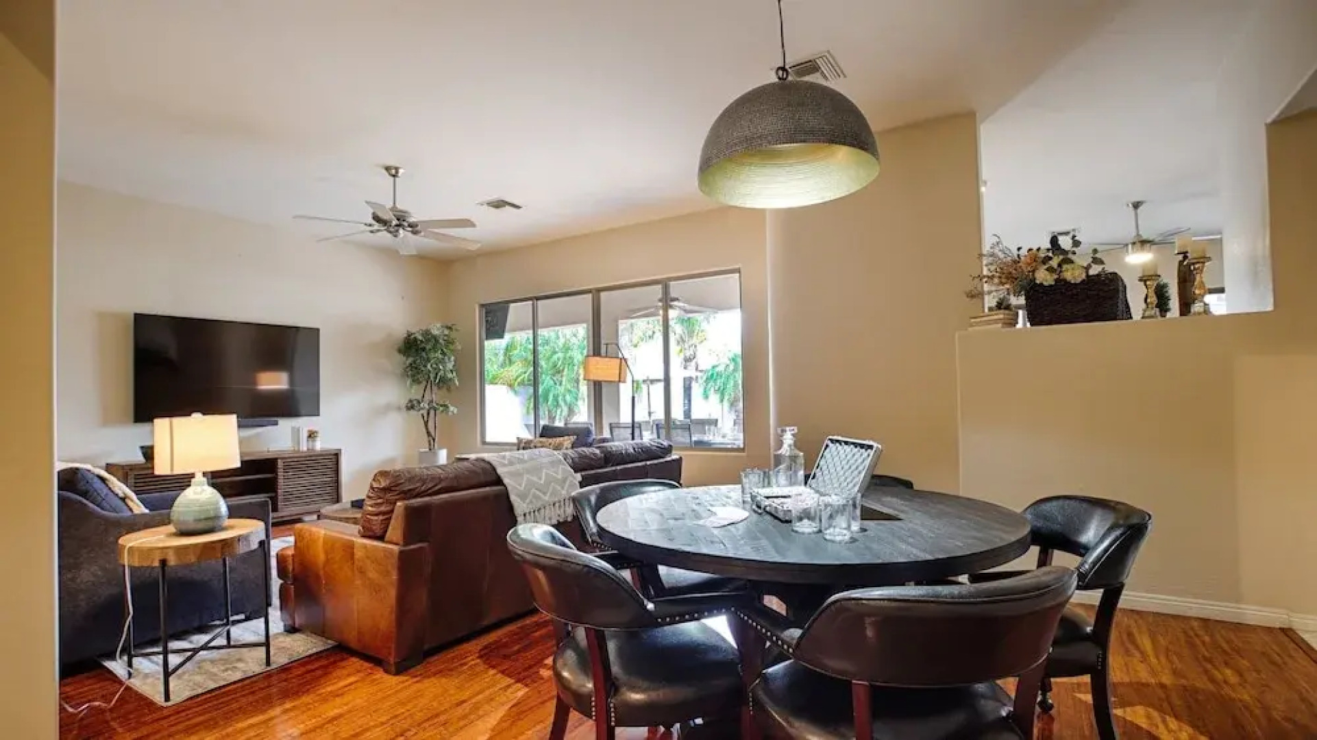 Lynx Chandler/ocotillo