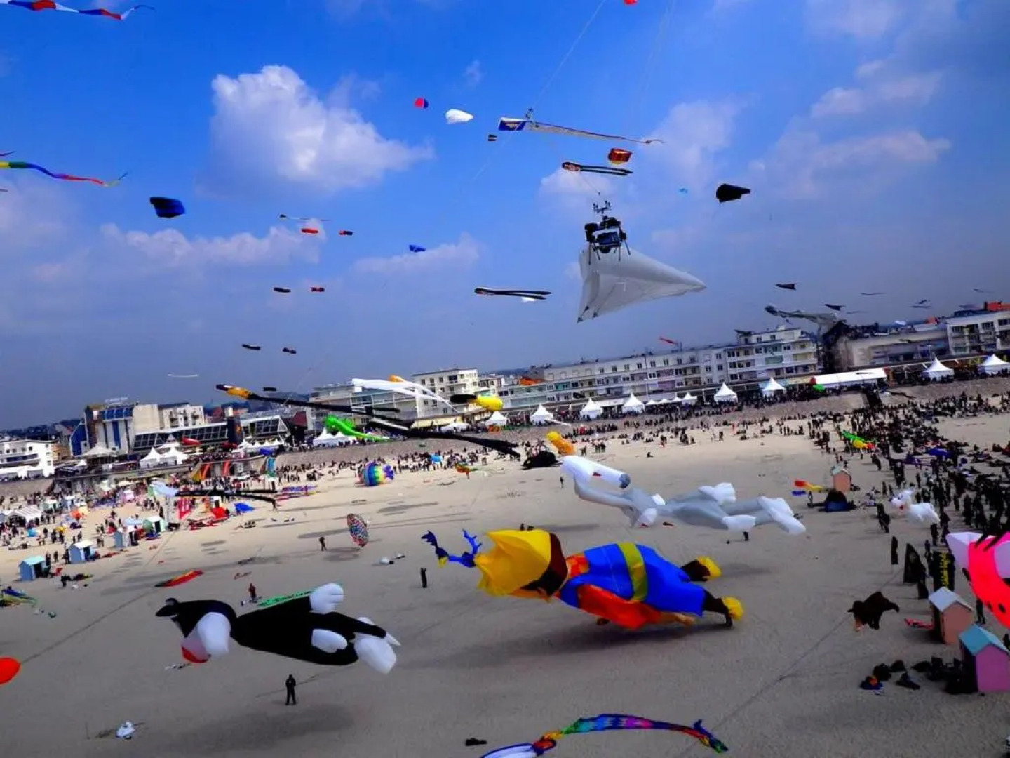 Appart 4-6 pers Berck-Plage Hyper-centre