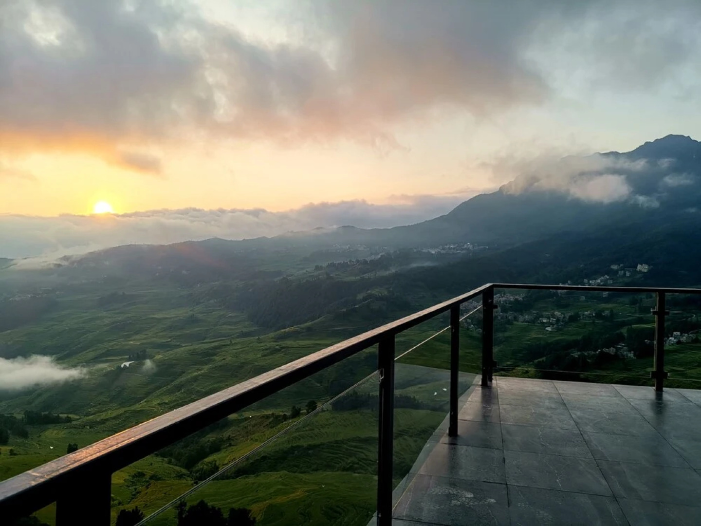 Plants and Flowers.YSTS