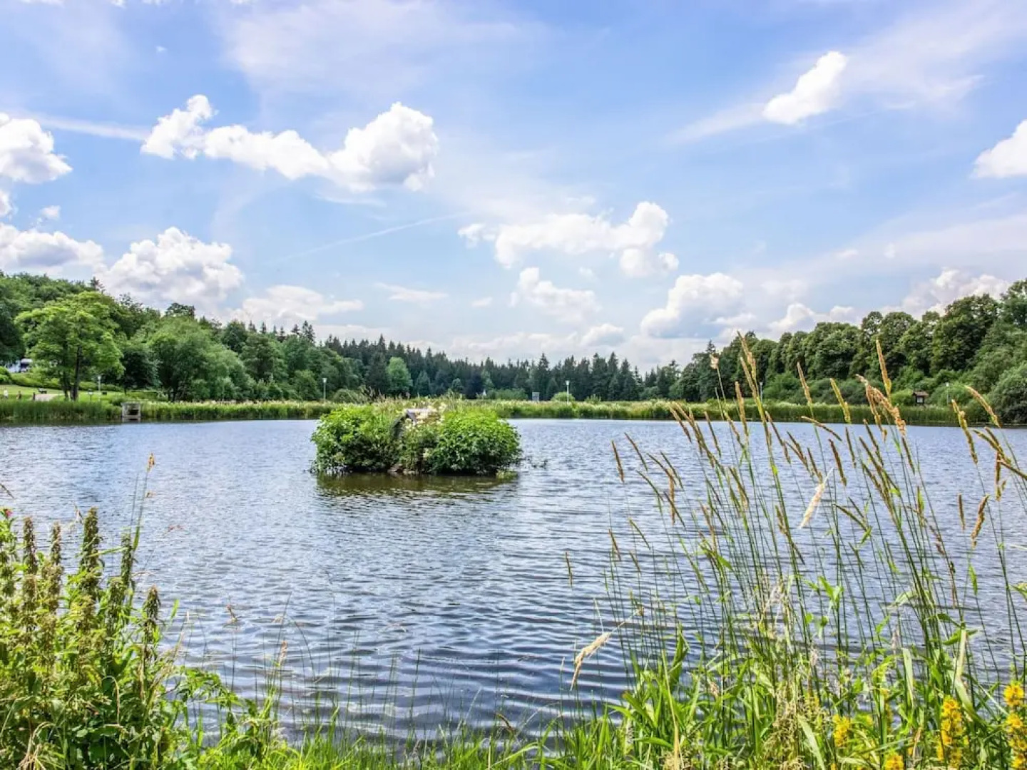 Classy Apartment in Hahnenklee Harz With Swimming Pool