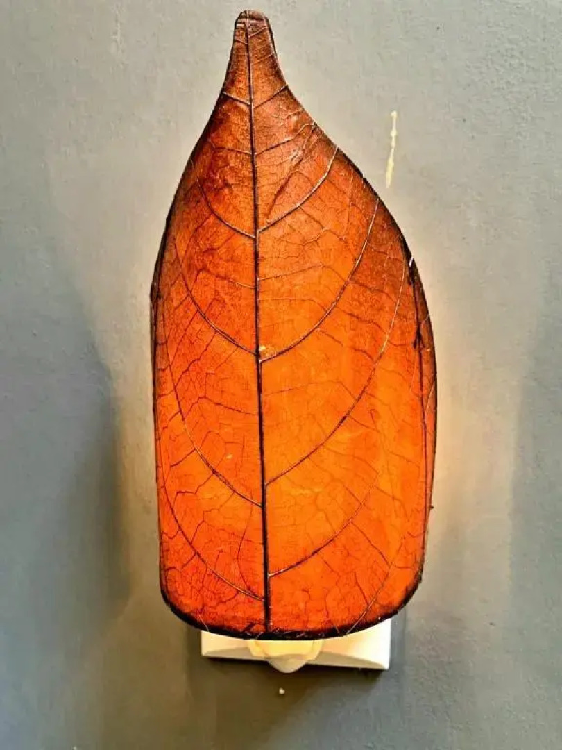 Private jungle “Loft del Rio” river access