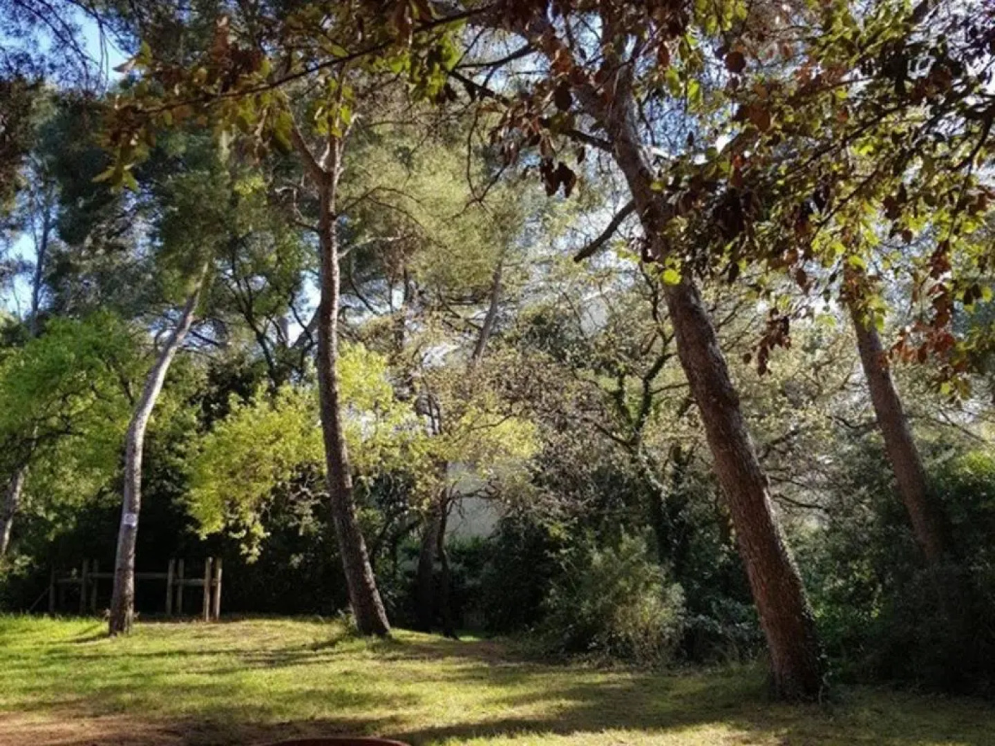 Appartement Six-Fours-les-Plages, 2 pièces, 4 personnes - FR-1-316-16