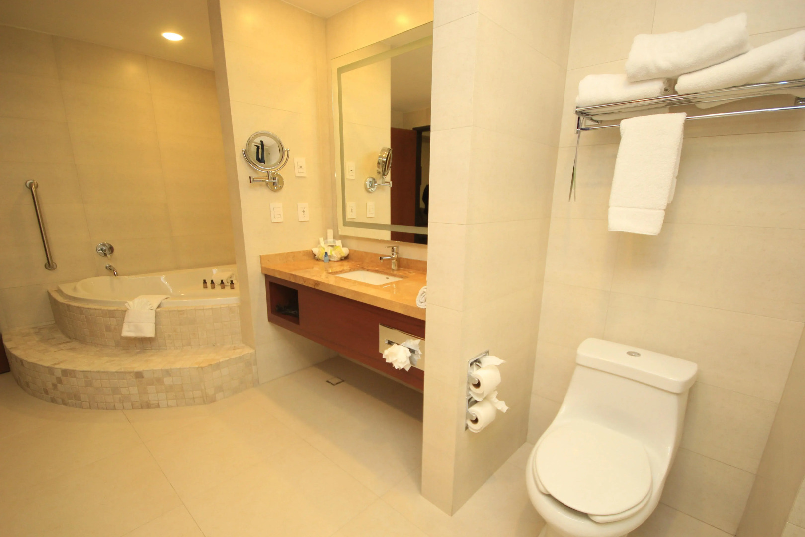 Holiday Inn Leon Plaza Mayor by IHG