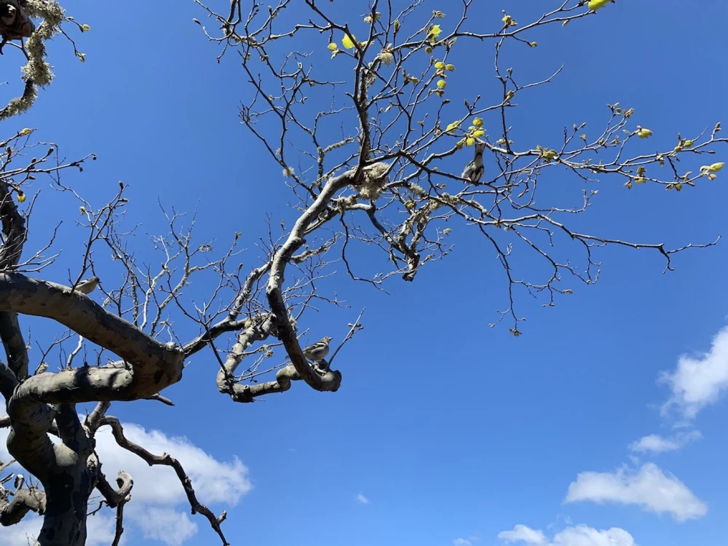 Casa do Ribeiro Frio