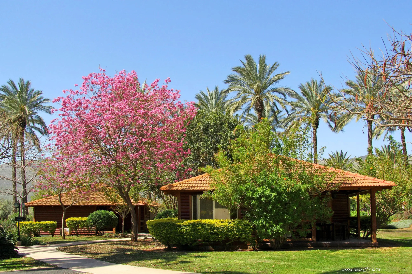 Nir David Country Lodge