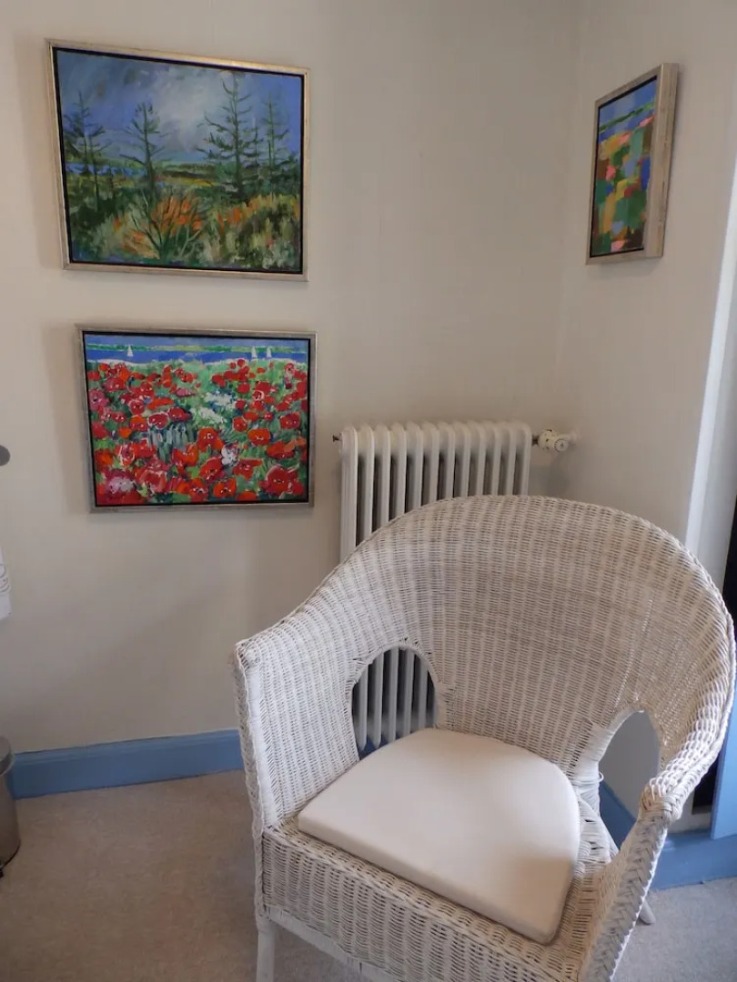 Bakkegaard Møns Klint