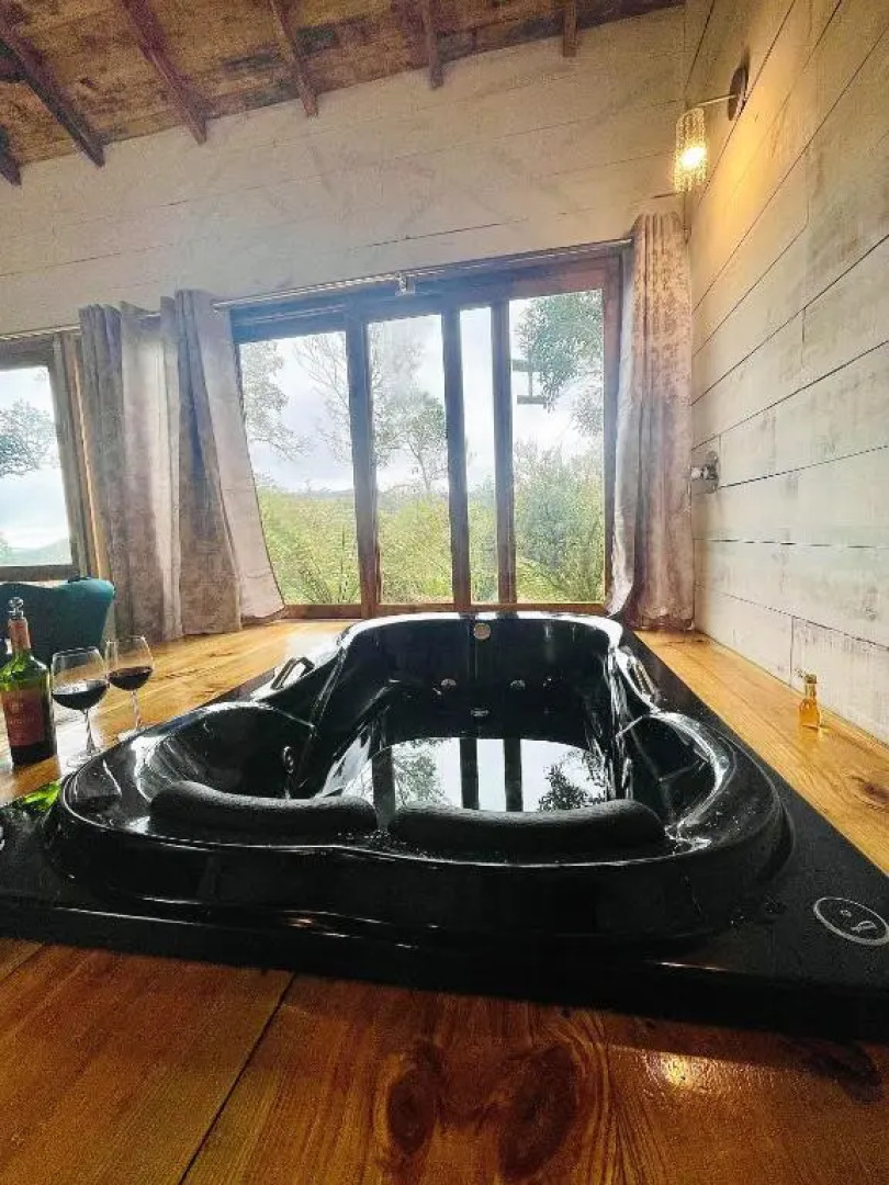 Cisne Negro Villarejo