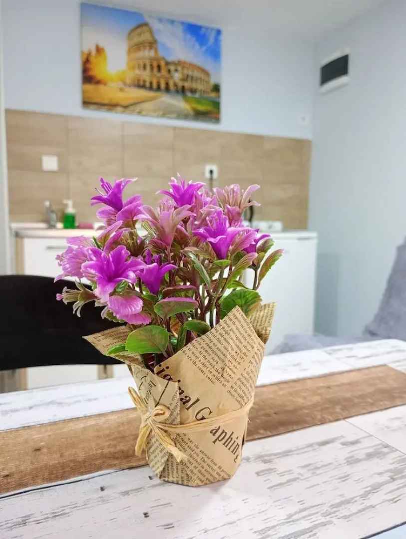 Sereni̇ta Stone House