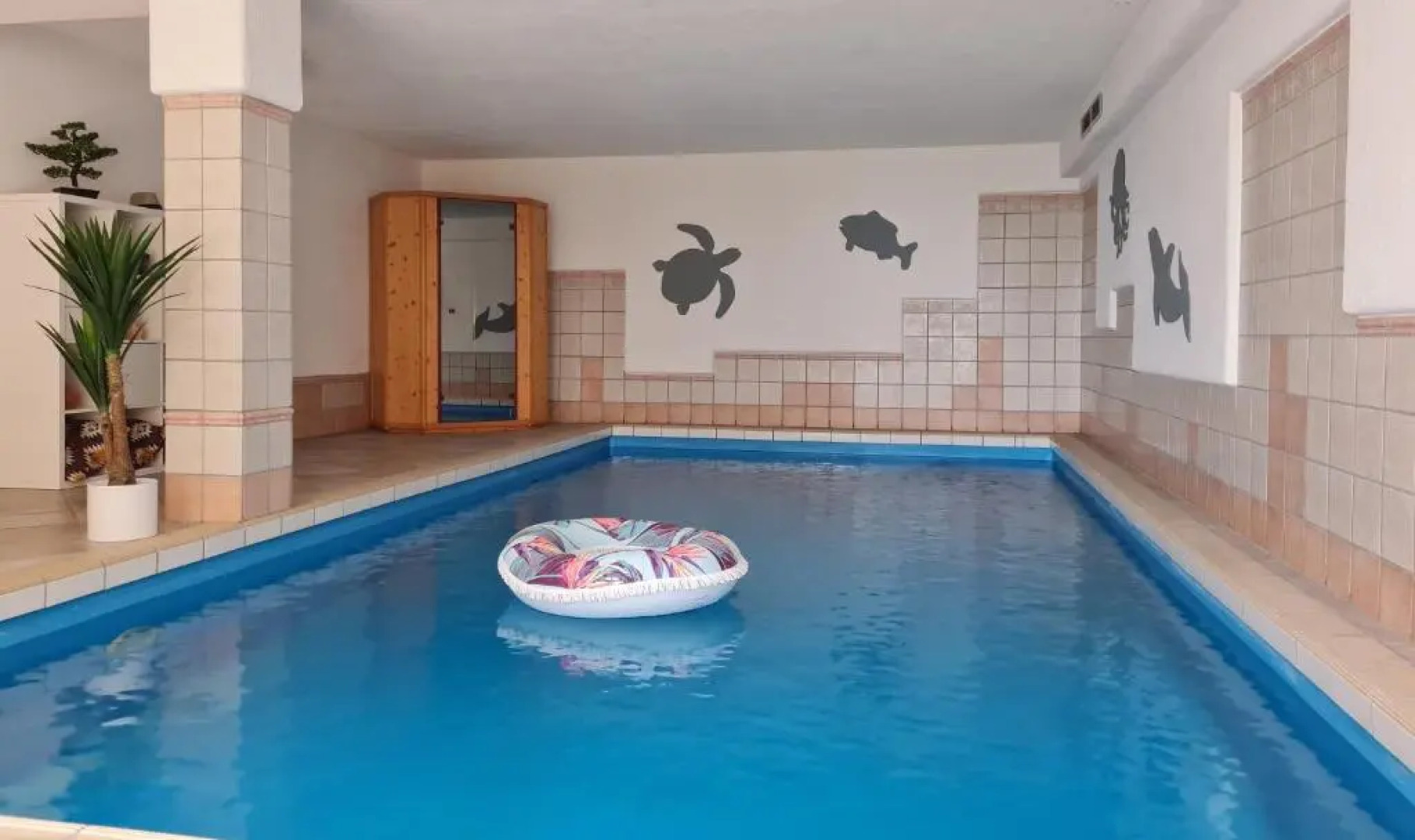 Appartement Mountains and More