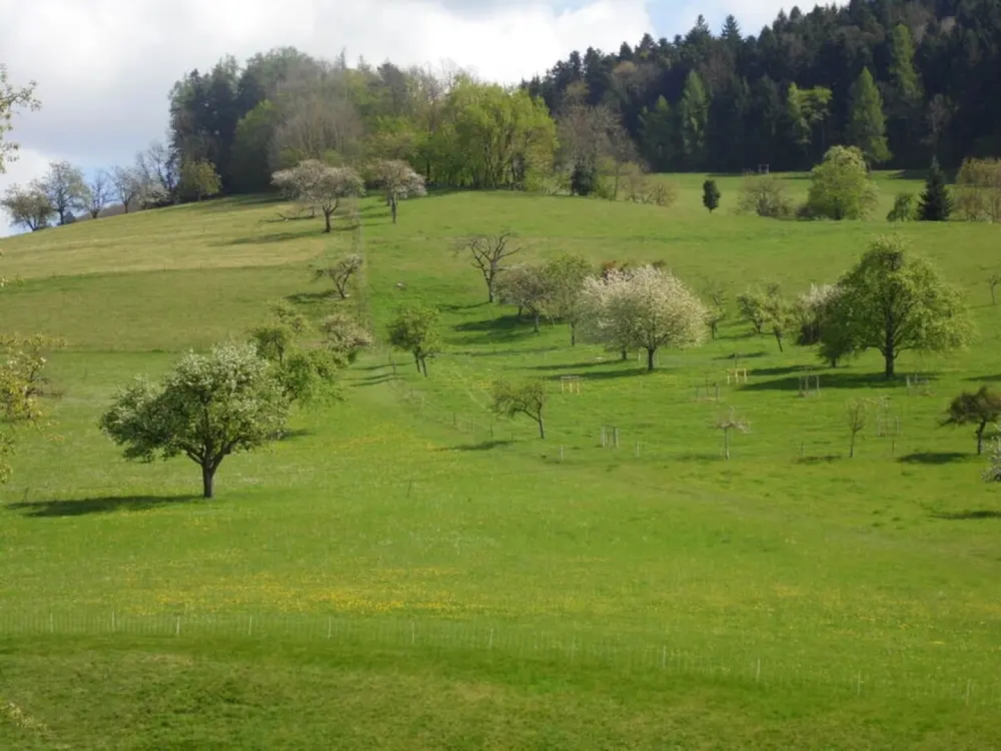 Am Reichenbach Modern Retreat