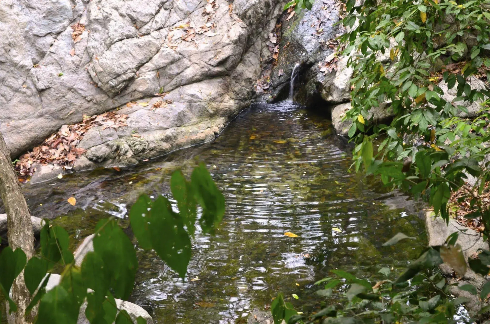 Posadas Ecoturisticas San Rafael