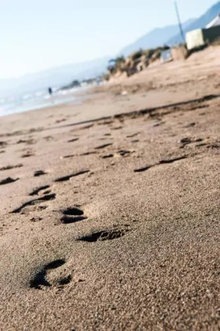 Wood House Close Beach