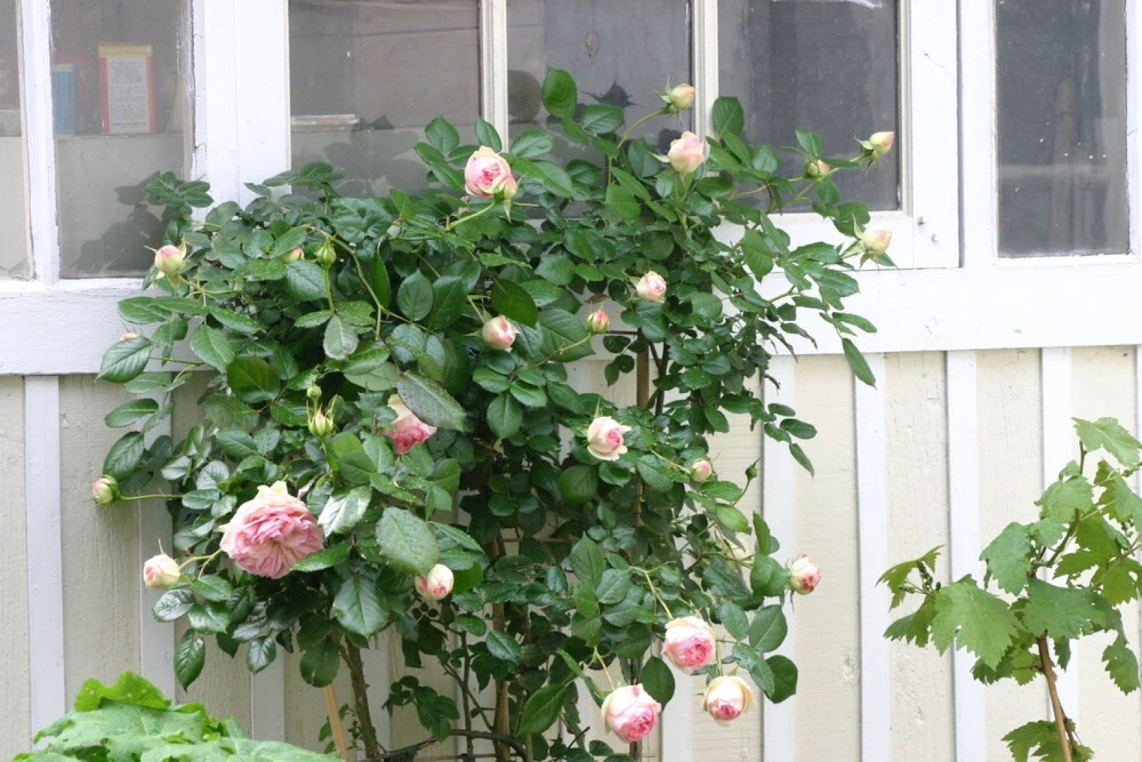 La Touraine Romantique Lamartine Plumereau