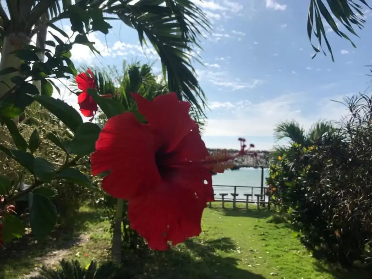 Hostería Puerto Gaviota