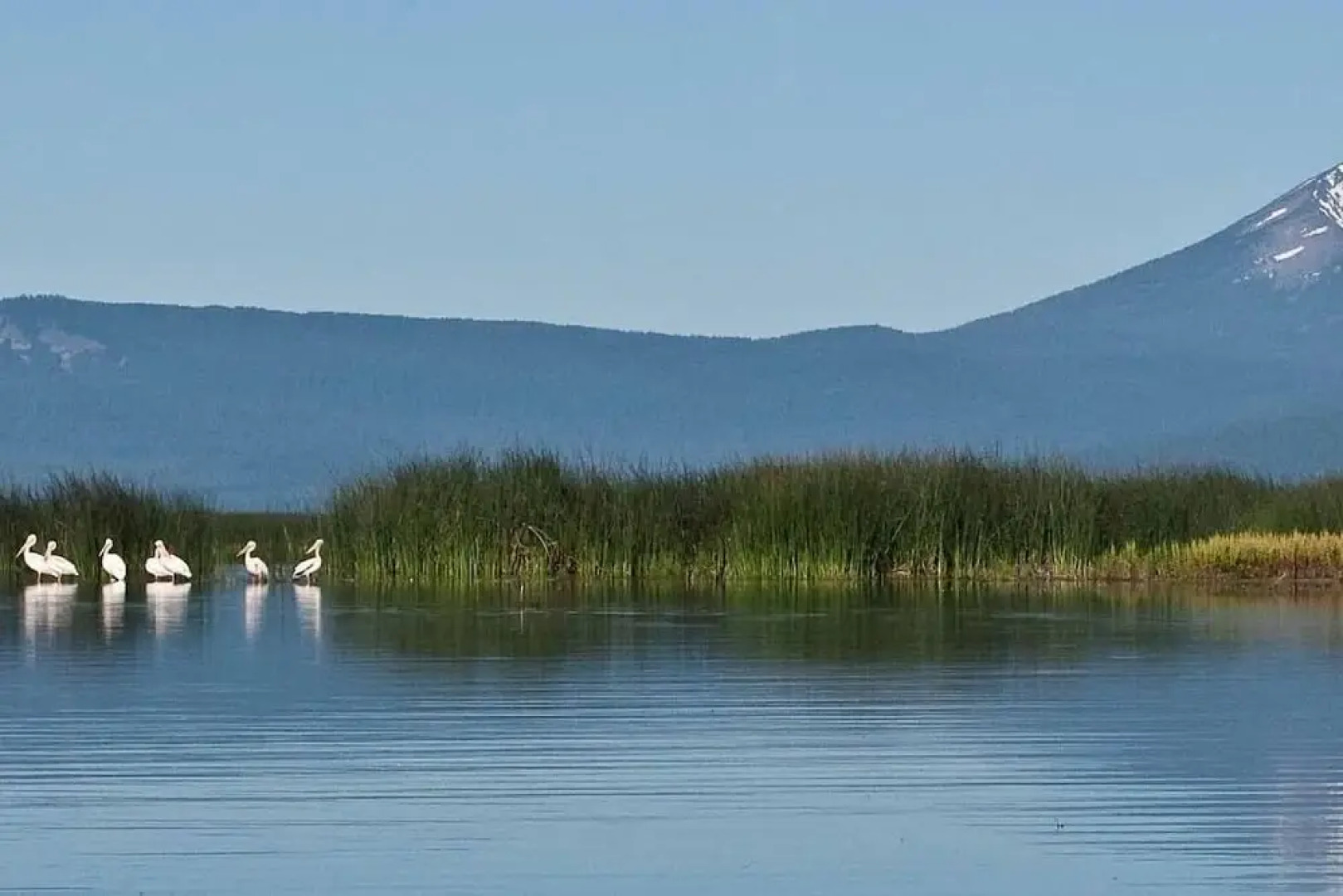 Copper Smarthouse-Gourmet Kitchen