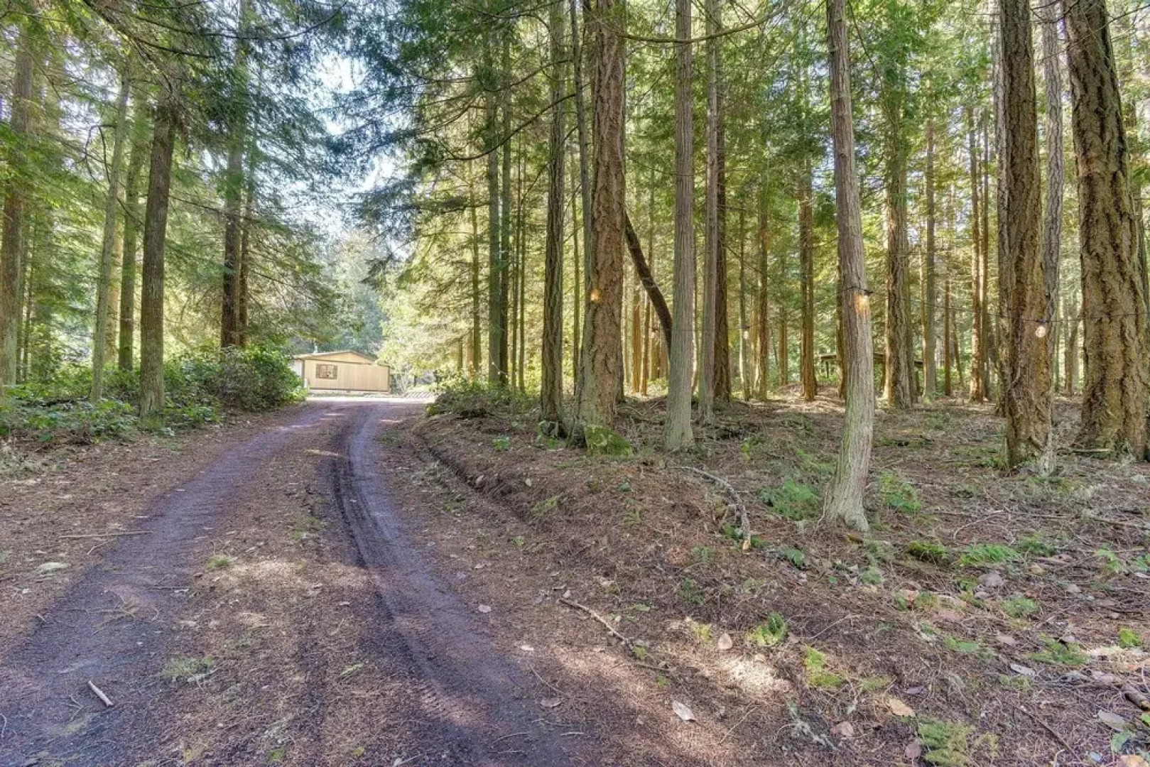 Secluded Port Townsend Retreat: Pets Welcome!