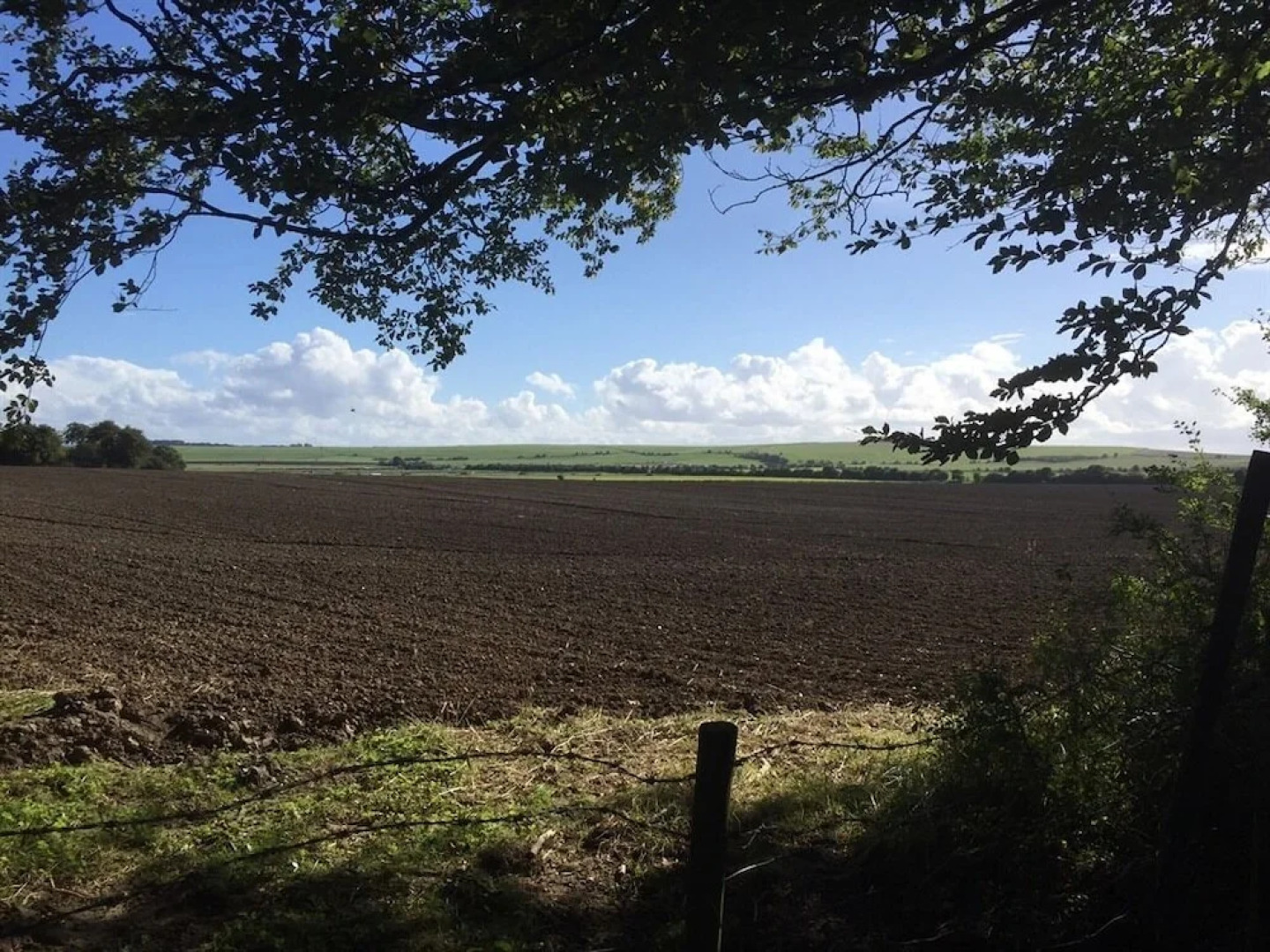 Helen Browning's Royal Oak