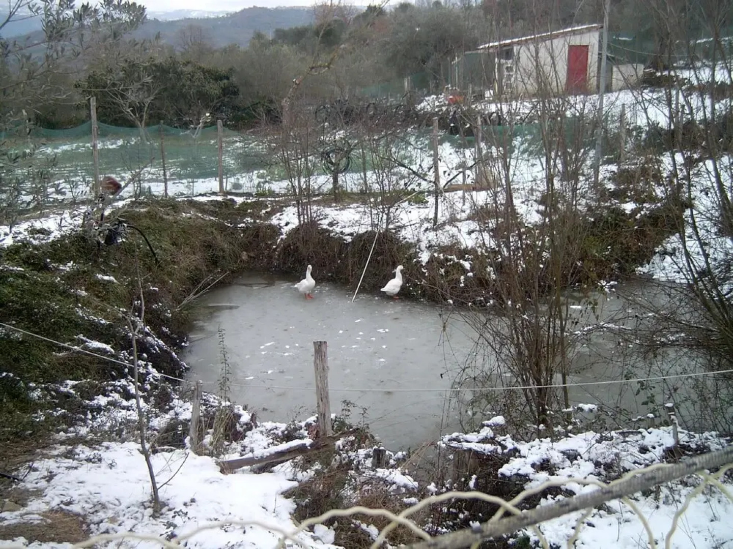 Agriturismo le Cammarose