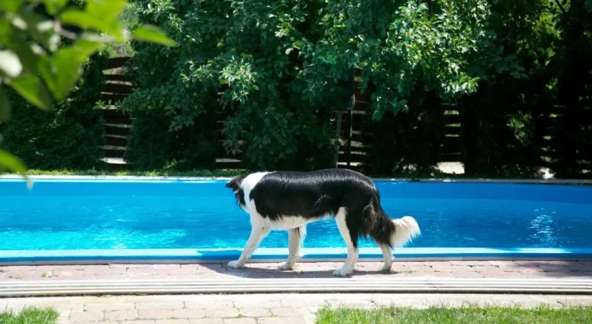 El Bronco Working Ranch