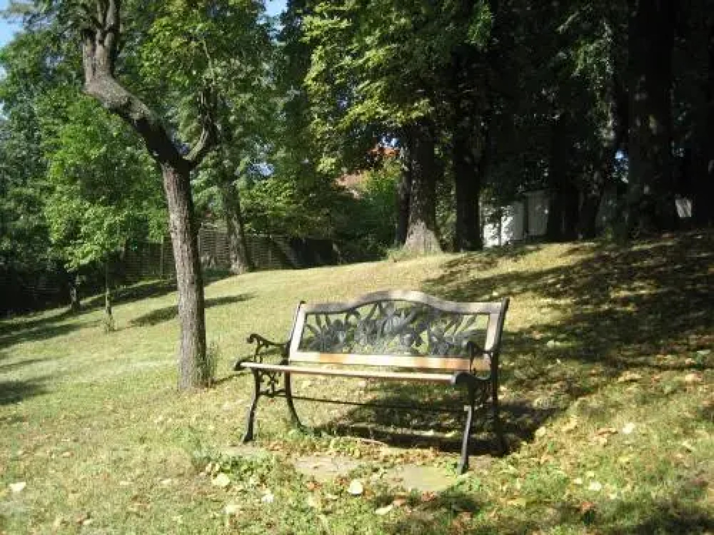Rhodaer Grund