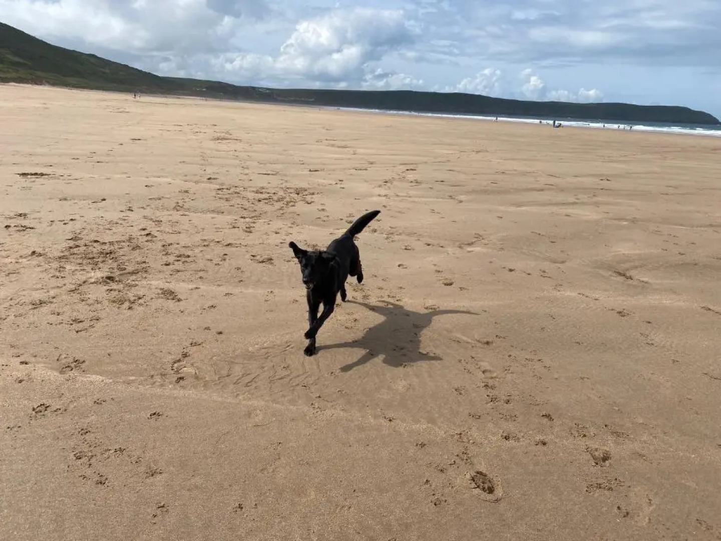 3 Middlecombe - Indoor Pool & 4 min walk to Beach!