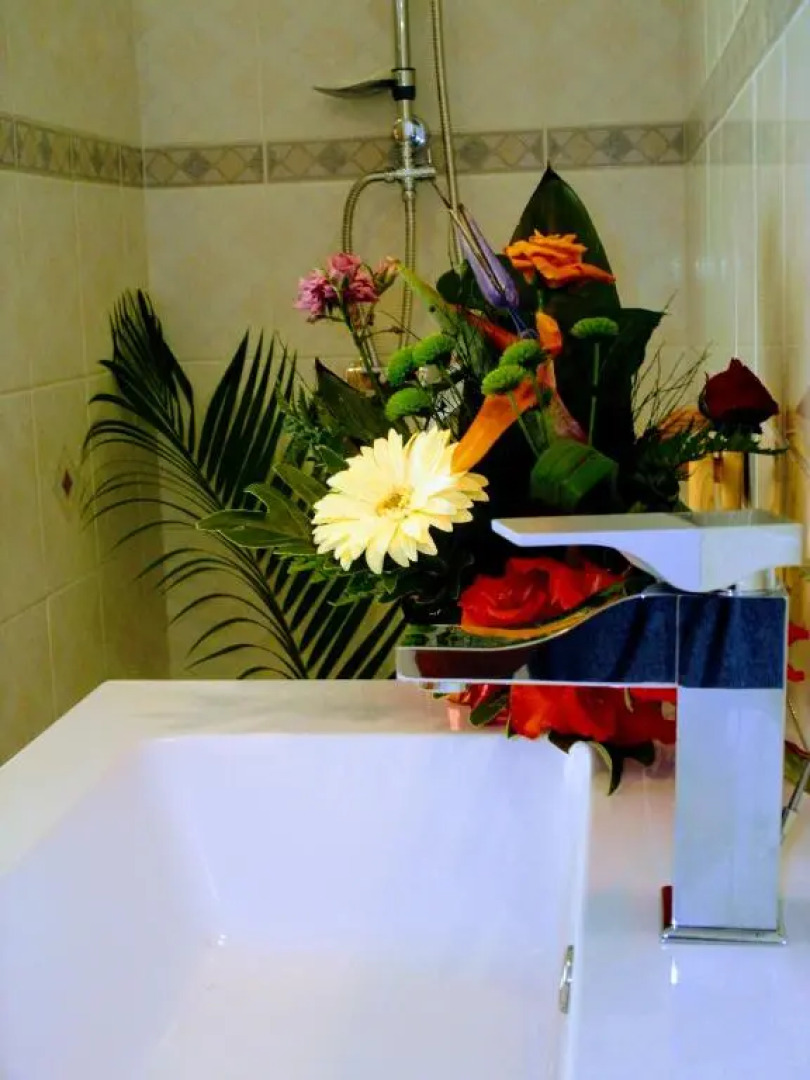 Villa arbre du voyageur, 4 étoiles et 4 clévacances