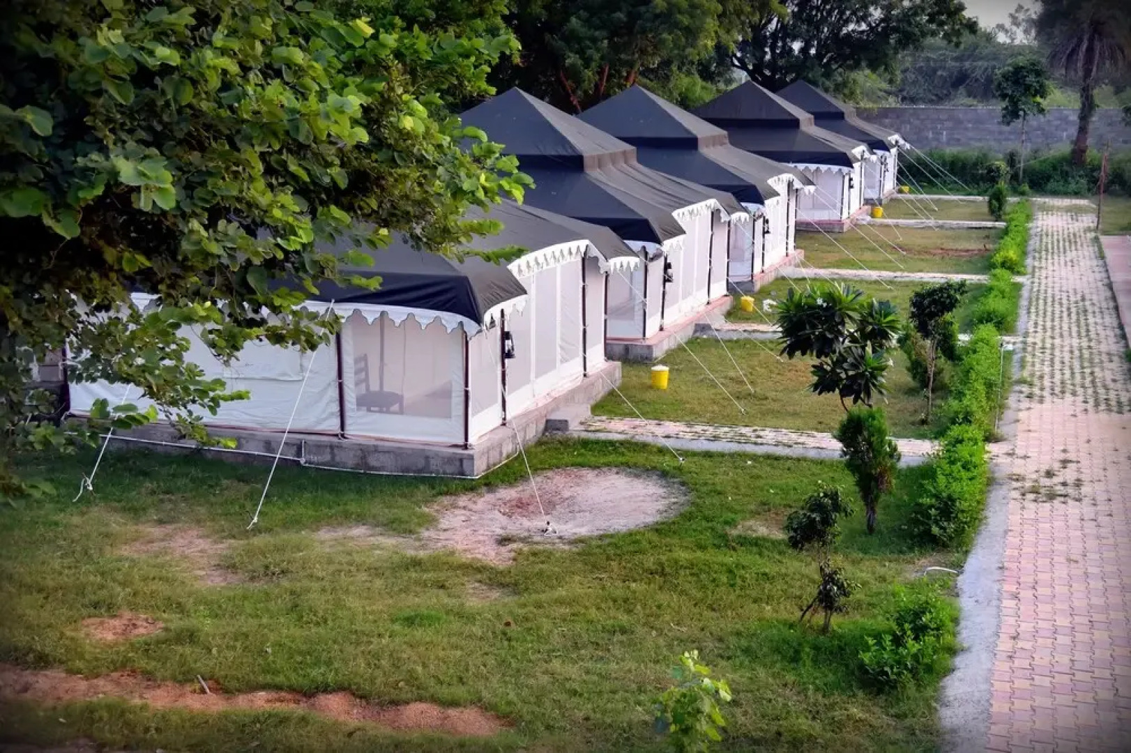 Tiger Queen Ranthambore