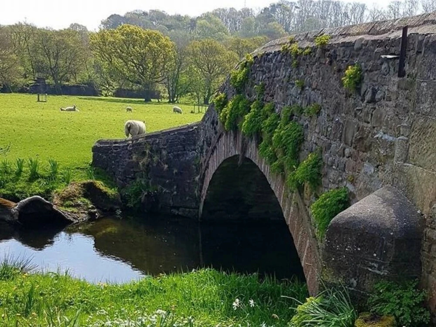 Workington House Bed and Breakfast