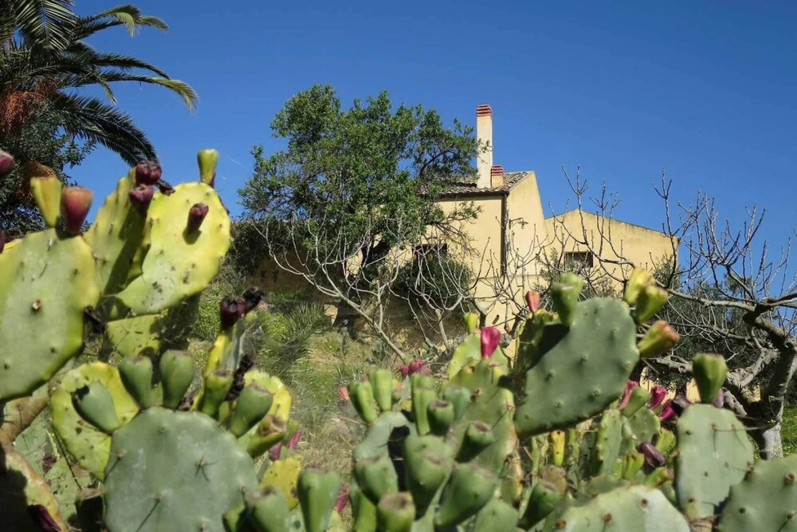 Agriturismo Baglio Vecchio