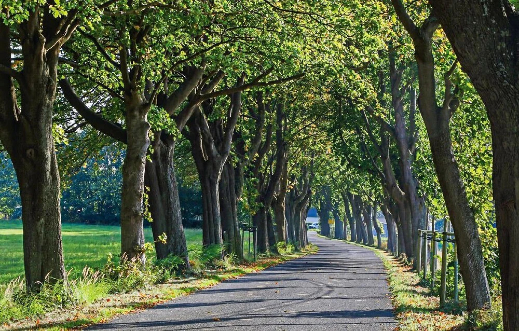 Beautiful Apartment in Altefähr/rügen With 1 Bedrooms and Wifi