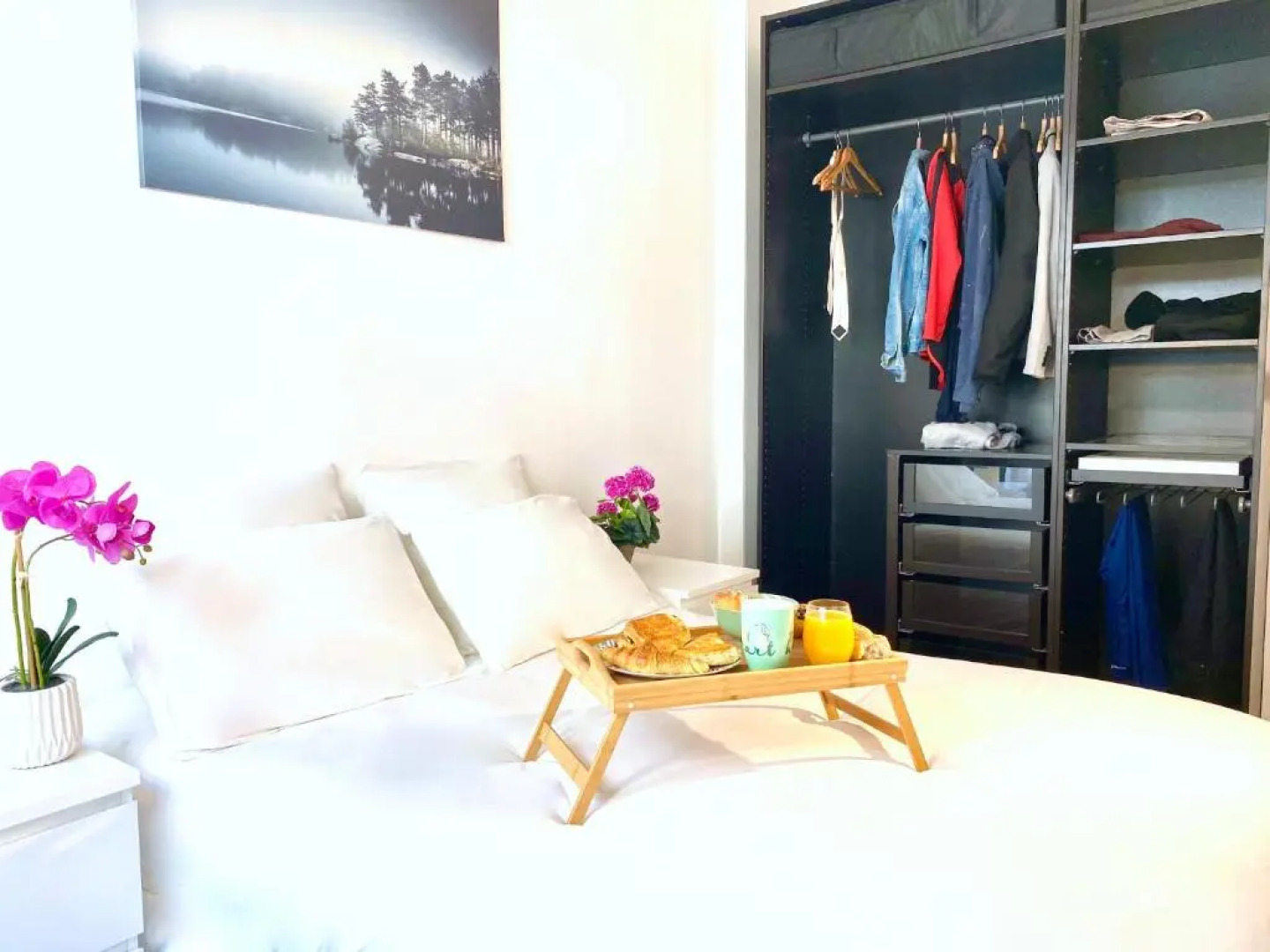 Oasis au Coeur de Ville