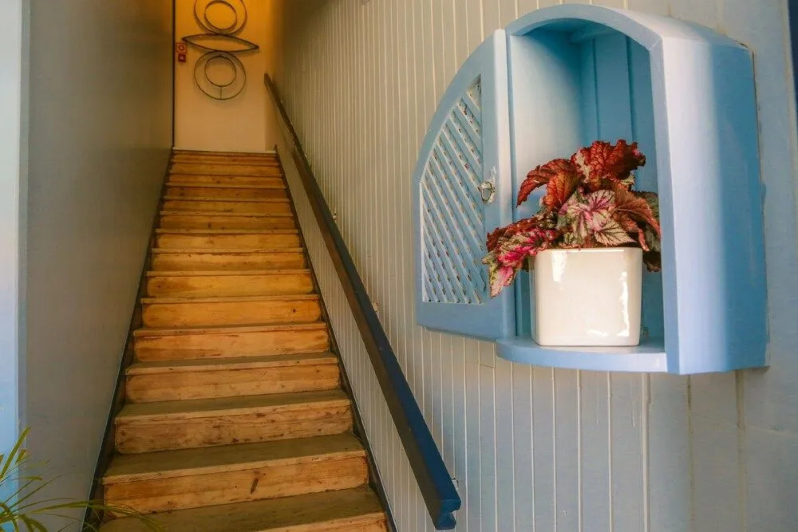 Caminha Hostel & Suites